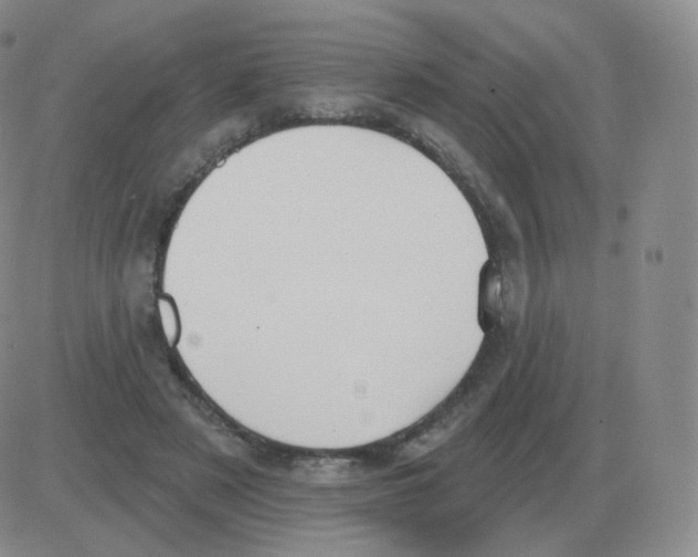 X0000082680497200702232142