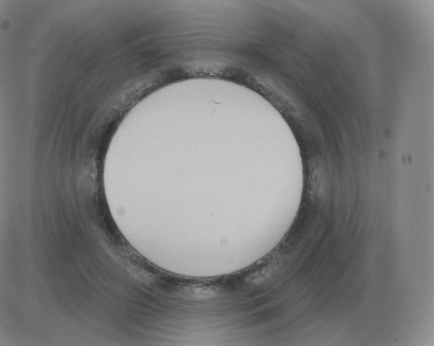 X0000082680498200702232142