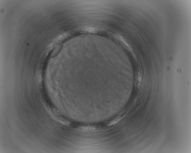 X0000082680500200702232141