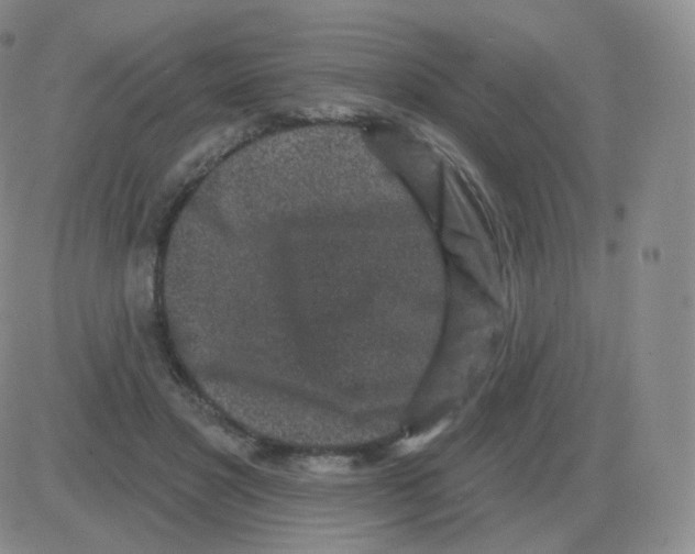 X0000082680501200702232141