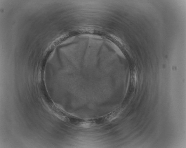 X0000082680504200702232141