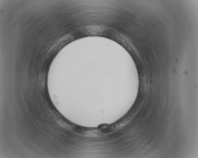 X0000082680505200702232141