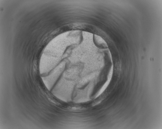 X0000082680506200702232141