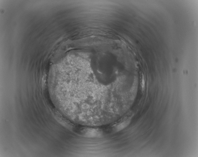 X0000082680507200702232141