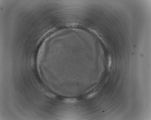 X0000082680508200702232141