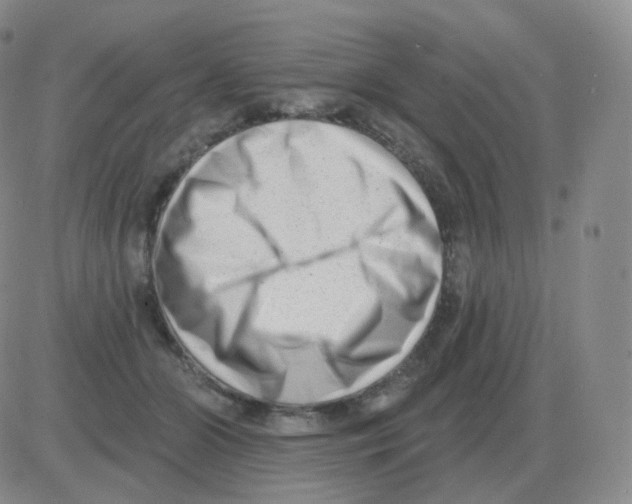 X0000082680510200702232141