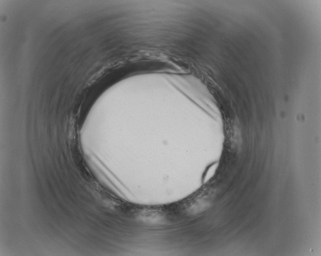 X0000082680511200702232141