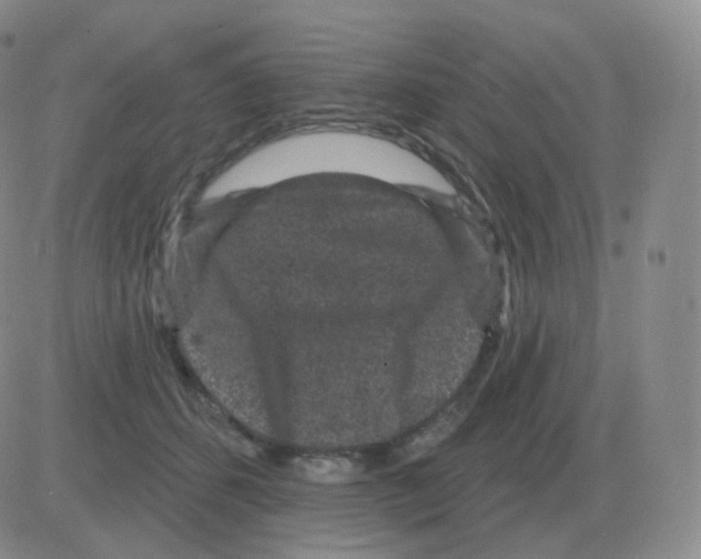 X0000082680512200702232141