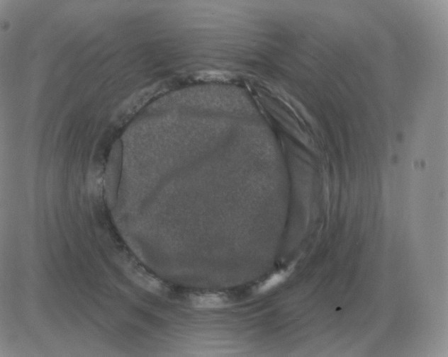 X0000082680513200702232141