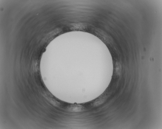 X0000082680514200702232141