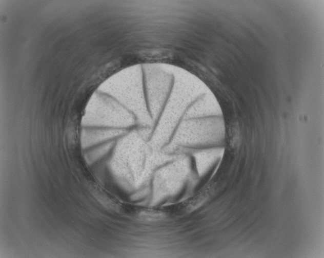 X0000082680515200702232141