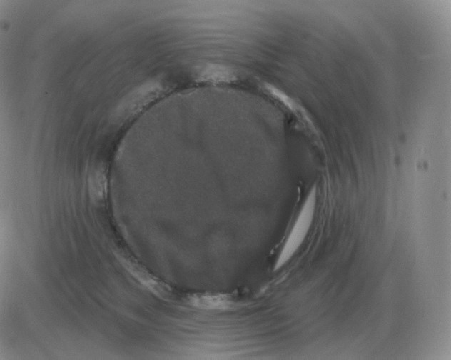 X0000082680517200702232141