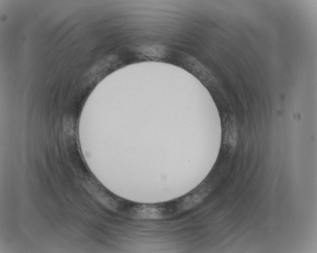 X0000082680518200702232141