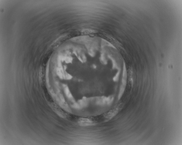 X0000082680519200702232141