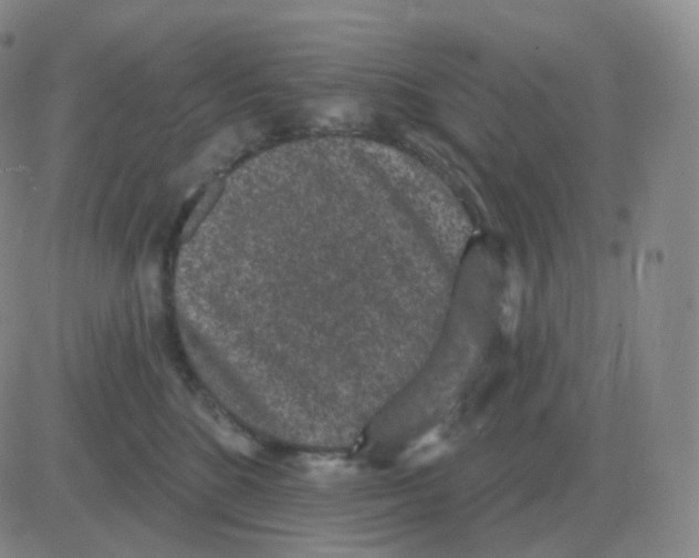 X0000082680520200702232141