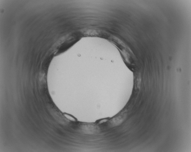 X0000082680521200702232141