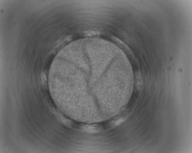 X0000082680523200702232141