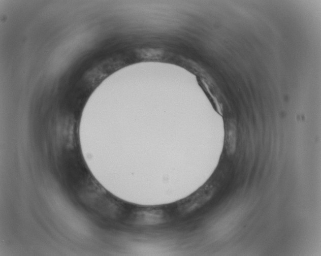 X0000082680525200702232141