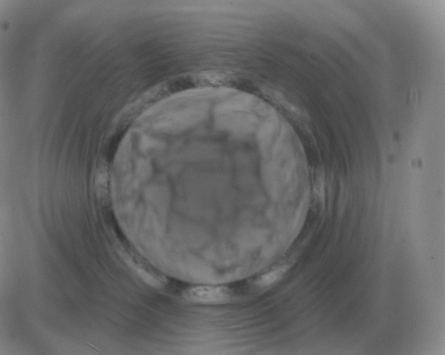 X0000082680526200702232141