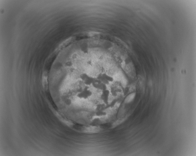 X0000082680527200702232141