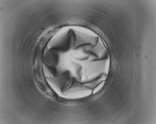 X0000082680530200702232140