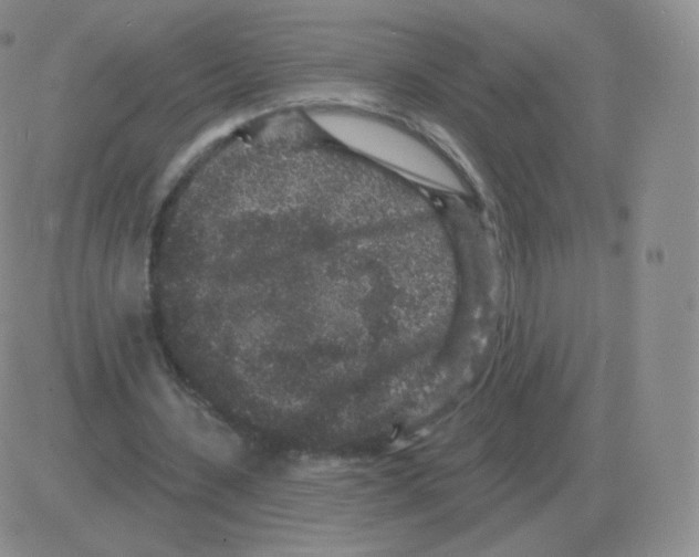 X0000082680531200702232140