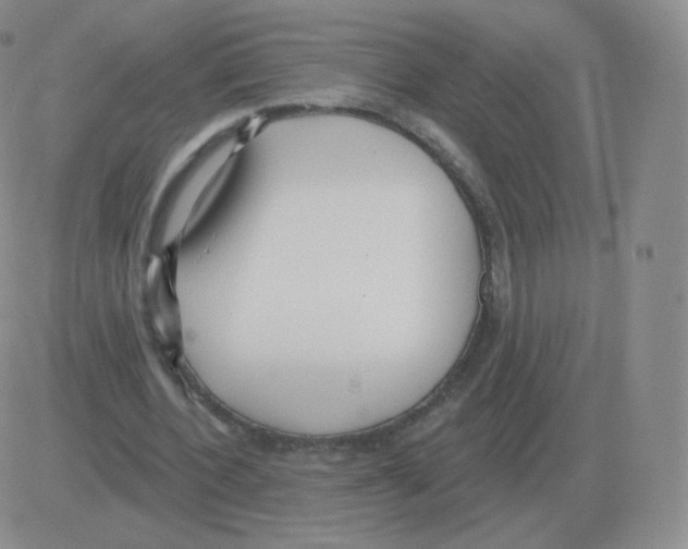 X0000082680532200702232140