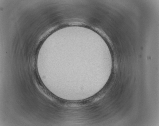 X0000082680533200702232140