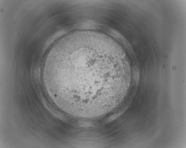 X0000082680534200702232140