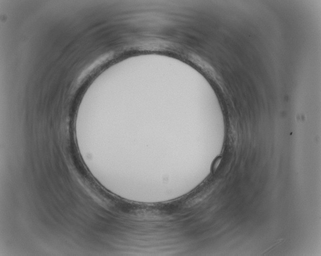 X0000082680535200702232140