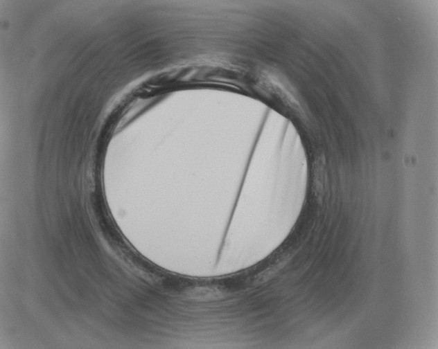 X0000082680536200702232140