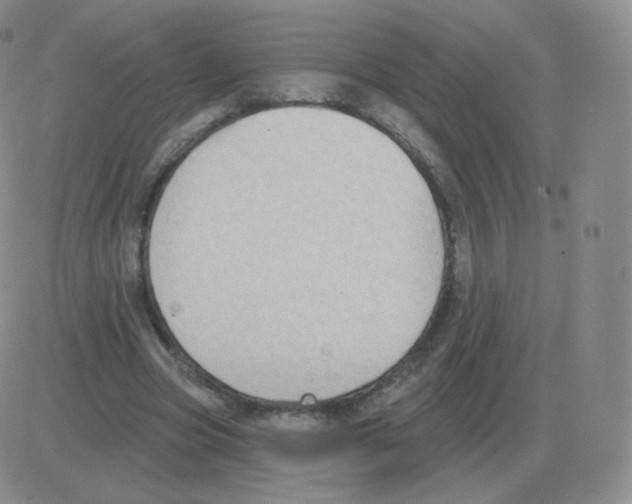 X0000082680537200702232140