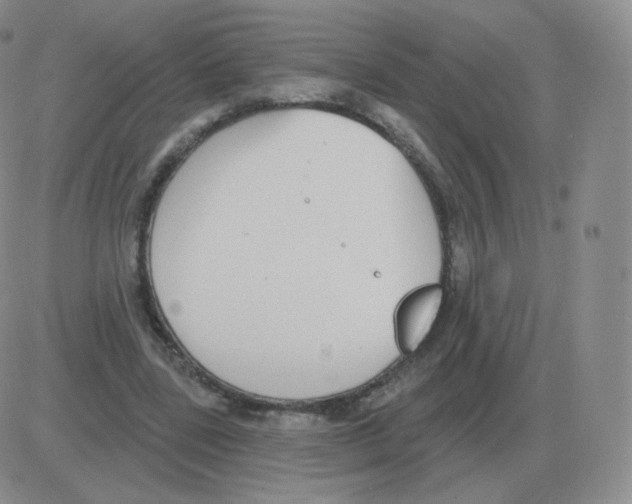 X0000082680539200702232140