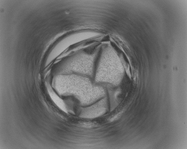 X0000082680540200702232140