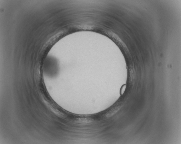 X0000082680541200702232140