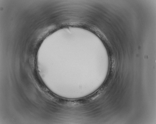 X0000082680542200702232140