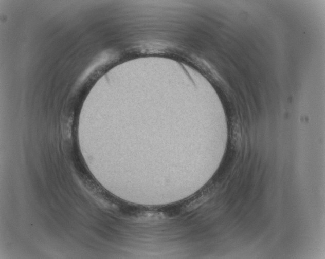 X0000082680543200702232140