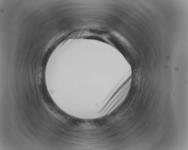 X0000082680544200702232140