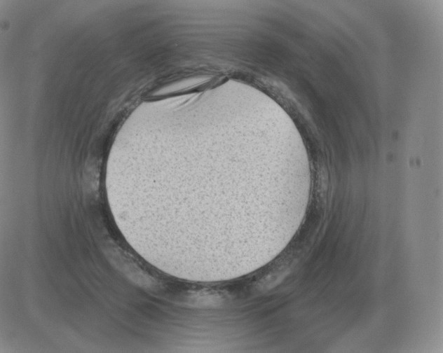 X0000082680545200702232140