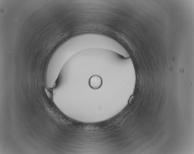 X0000082680546200702232140