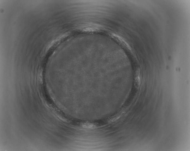 X0000082680547200702232141