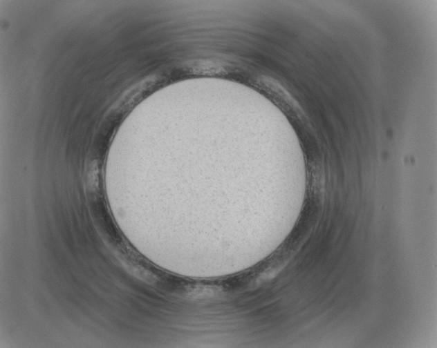 X0000082680549200702232141