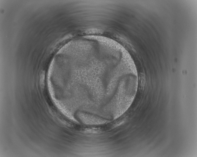 X0000082680550200702232141