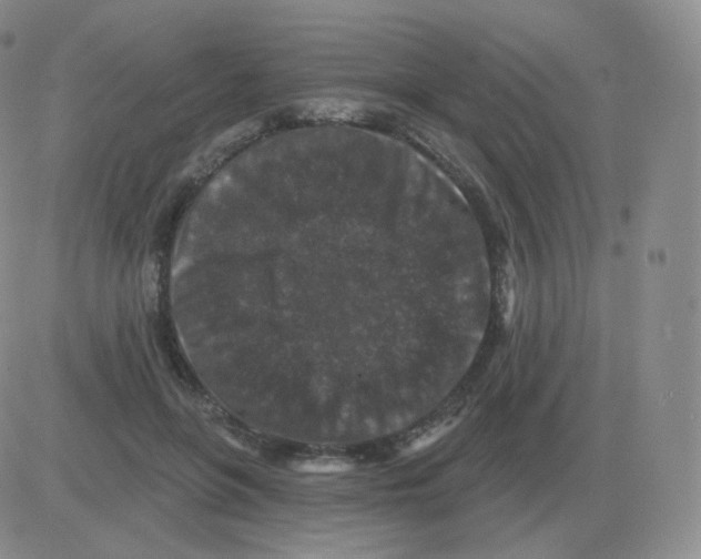 X0000082680551200702232141