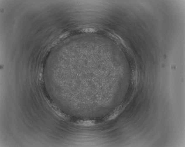 X0000082680553200702232141