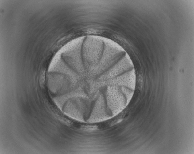 X0000082680554200702232141