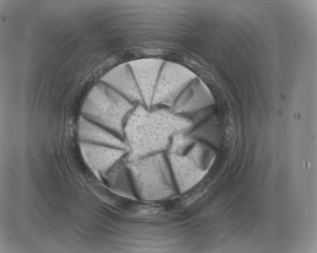 X0000082680555200702232141