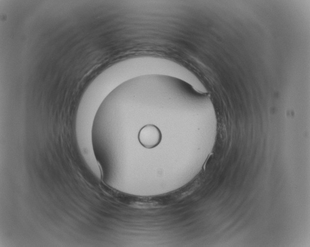 X0000082680556200702232141