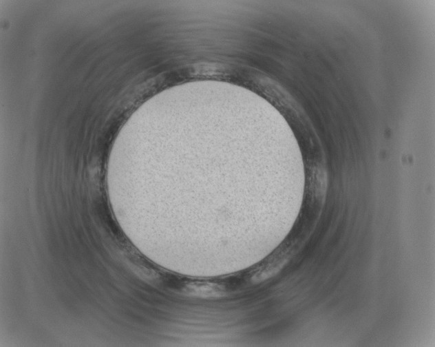 X0000082680557200702232141