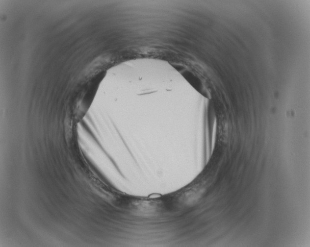 X0000082680558200702232141